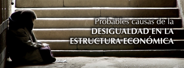 Probables causas de la desigualdad en la estructura económica