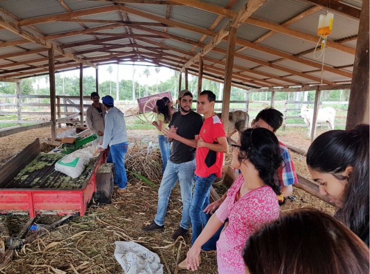 Prácticas de Agronomía en el Rancho Corderito