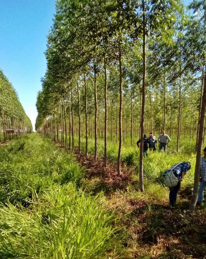 Trabajo de Campo en Escuela Técnica Agropecuaria San Francisco de Asis