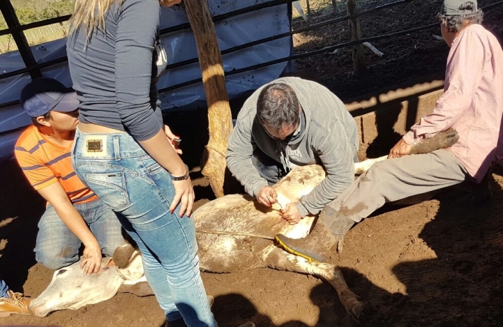 Visita al Establecimiento Corderito, San Roque González de Santa Cruz