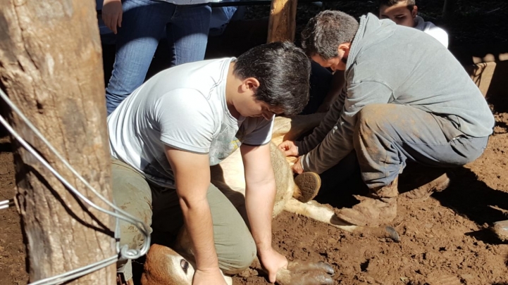 Visita al Establecimiento Corderito, San Roque González de Santa Cruz