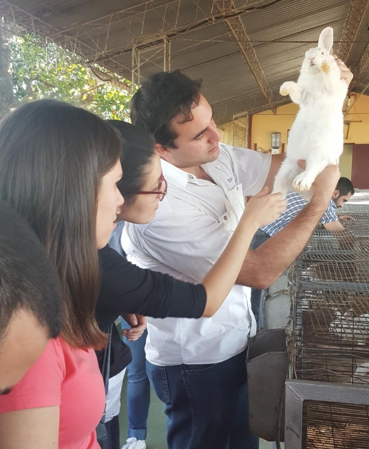 Estudiantes de Veterinaria realizan prácticas de Cunicultura