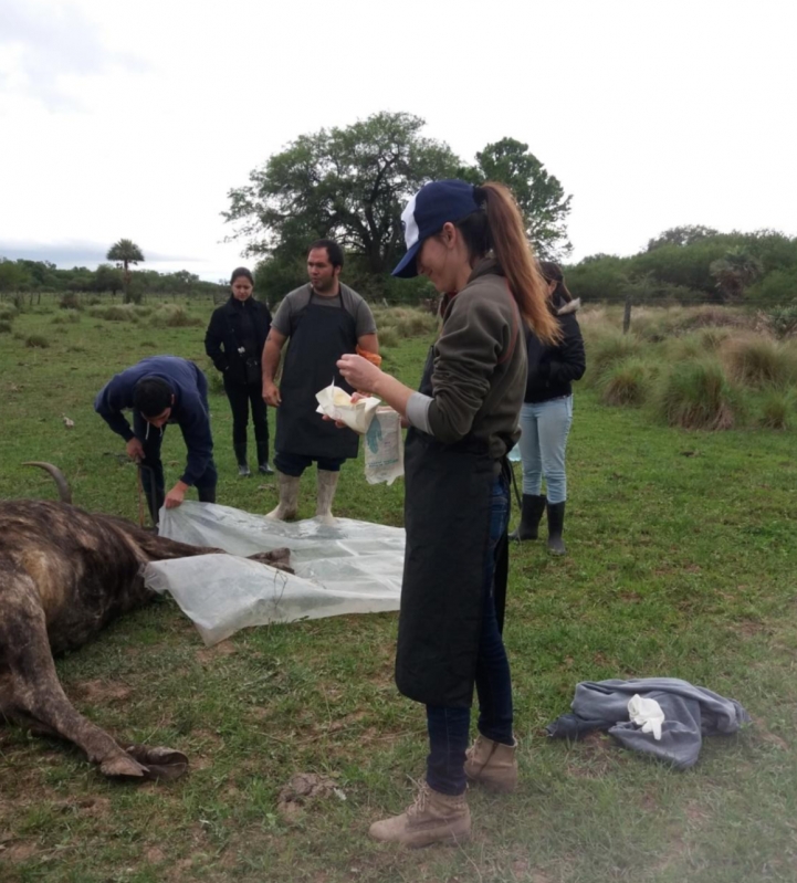 Curso I.A.T.F. y Salida de Campo en Estancia Ña L