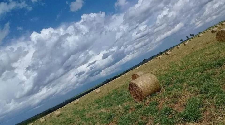 Salida de Campo en General Resquín, San Pedro