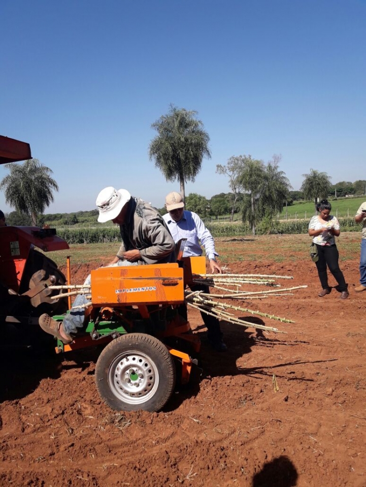 Práctica Profesional de Ing. Agronómica