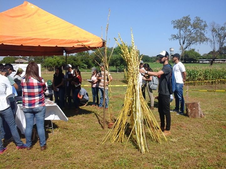 Día de Campo - Producción Agrícola 2018