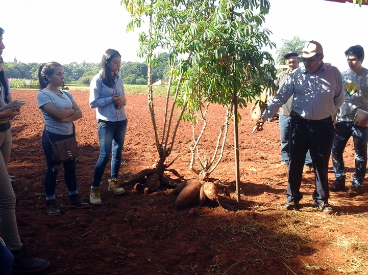 Día de Campo - Producción Agrícola 2018