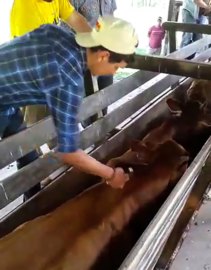 Salida de Campo en San José de los Arroyos, Caaguazú