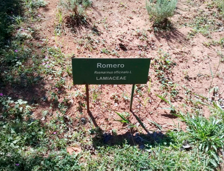 Salida de Campo en la UNA